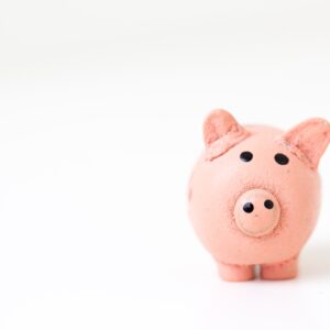 Stuffed pig toy