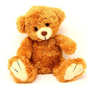 teddy-bear