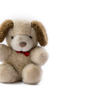 Cute teddy bear isolated on white background.
