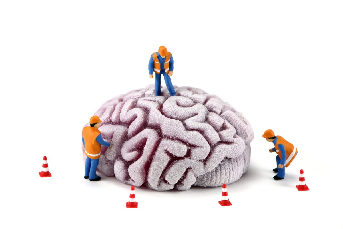 brainConstruction