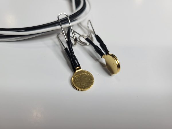 flat gold ear clips