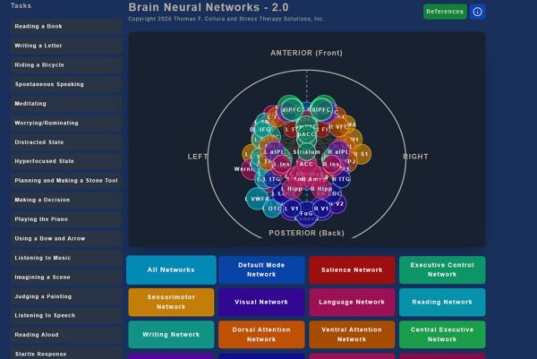 Brain-Neural-Networks-2
