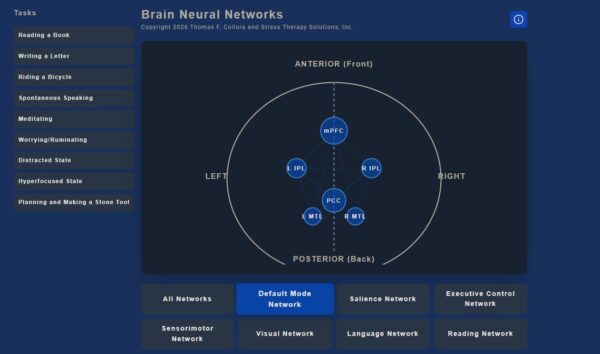 Default-Mode-Network