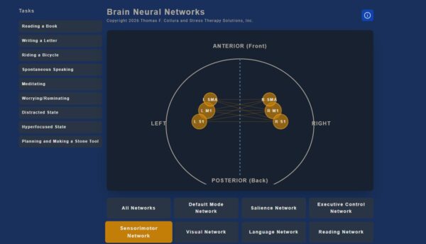 Sensorimotor-Network
