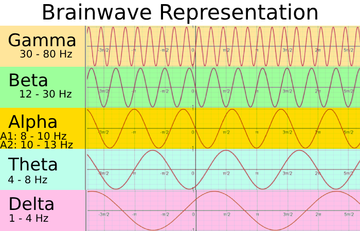 Representation of brain waves at different frequencies