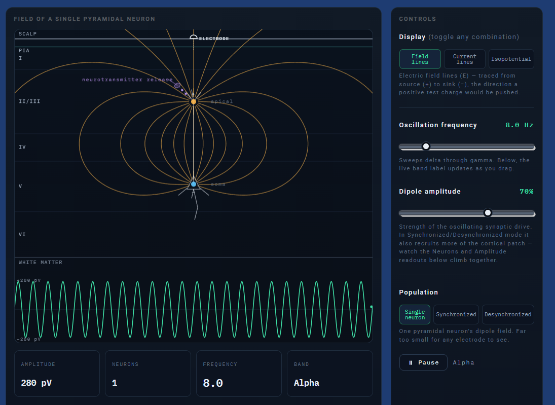 Advanced Dipole Simulation